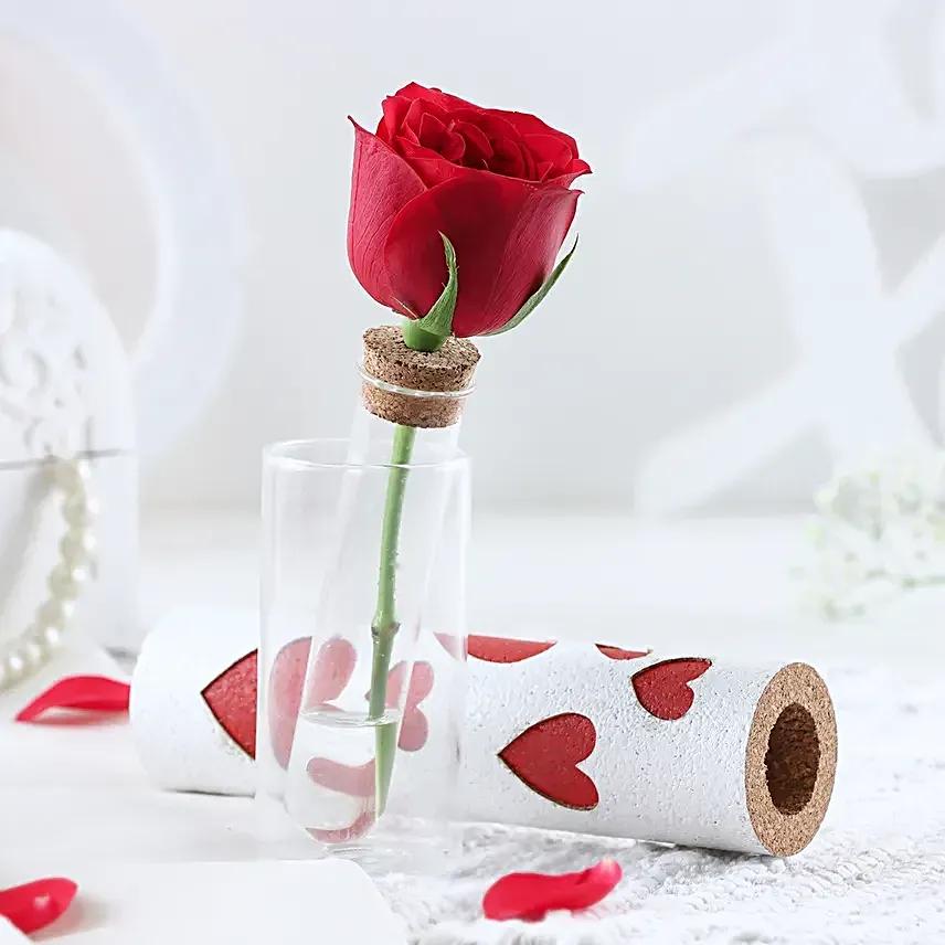 Single Rose